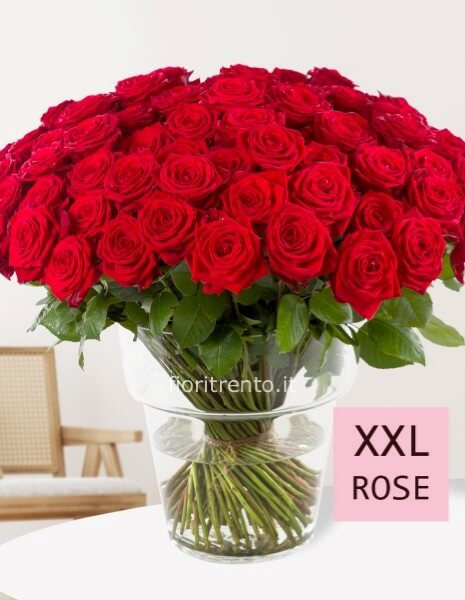 OFFERTA! 10 ROSE ROSSE &acute;RED NAOMI&acute; 60cm