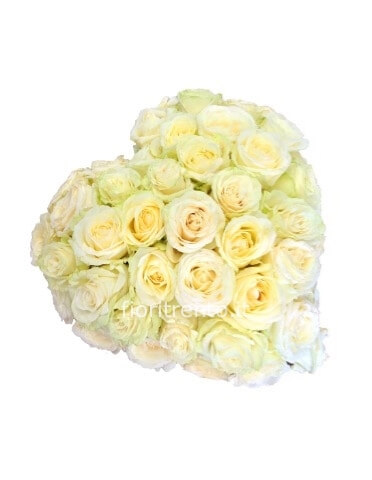 Cuore bianco